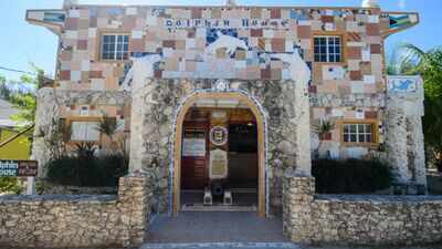 In 1993, a Bahamas artist began covering his home with shells, bottles, coins and tiles; decades later it became a giant dolphin-themed museum