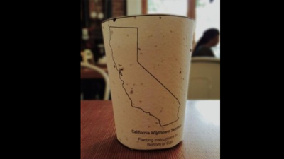 In 2015, this ordinary coffee cup hid seeds inside its paper; after the last sip, you could plant it instead of throwing it away