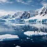 In 2016, countries came together to protect a huge part of Antarctica's ocean, creating the world's largest marine reserve