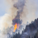 In 2017, a wildfire advanced toward Roslyn, Washington; nine years later the town has deliberately burned 500+ acres of forest to build a protective shield against future fires