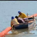 In Rio de Janeiro's Guanabara Bay, discarded salon hair is being transformed into an oil-absorbing barrier that protects mangroves from oil spills