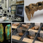 In the 1600s, people in Osaka ate dozens of species of fish, mammals and plants; 400 years later scientists found the evidence trapped in their teeth