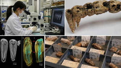 In the 1600s, people in Osaka ate dozens of species of fish, mammals and plants; 400 years later scientists found the evidence trapped in their teeth