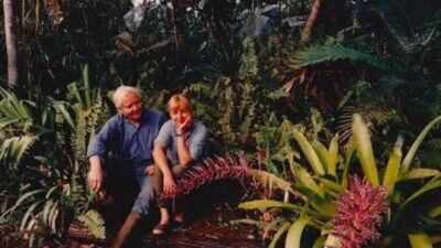 In the 1970s, Pulitzer Prize-winning poet W.S. Merwin and his wife Paula bought a barren piece of land in Hawaii; planting one sapling at a time, they transformed the wasteland into a 19-acre forest with more than 3,000 palms