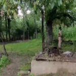 Police search 26 locations tied to banned Jamaat-e-Islami J&K