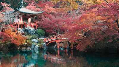Indian Railways launches 10-day Japan tour from Delhi; package includes bullet train ride, Mt Fuji and Hiroshima from ₹3.46 lakh