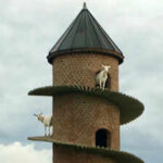 <b>Inside Portugal’s 19th-century goat tower, where dwarf goats climb a spiral ramp to a three-storey home</b>