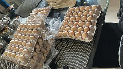 Laid off by Amazon, woman starts chicken farm: ‘I have my product, the eggs’