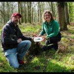 Man walking his dog discovers a 3,400-year-old Bronze Age axe in an English forest