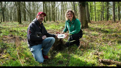 Man walking his dog discovers a 3,400-year-old Bronze Age axe in an English forest
