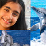 Meet Ishanvi Sakharpe, the Virginia student who built Dolphin Guard to help protect dolphins from dangerous human activity