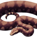 Meet the Vasuki Indicus: The largest snake to roam the Earth, earlier mistaken for a massive crocodile; IIT Roorkee researchers name it after the 'Vasuki Naag'