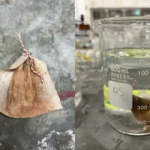 Meet Vick Tan: The Minnesota student who turned a teabag into a low-cost filter that removed more than 90% of arsenic from water