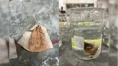 Meet Vick Tan: The Minnesota student who turned a teabag into a low-cost filter that removed more than 90% of arsenic from water