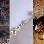 For just ₹200, you can lease a small diamond mine in Panna; some ordinary miners have walked out with gems worth crores and more