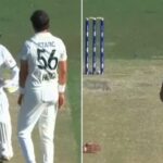 'You’re not in Bangladesh now': Mitchell Starc, Mehidy Hasan clash as visitors dominate Darwin Test - Watch