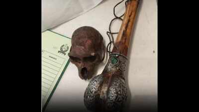 Passenger carrying ‘Monkey Skull’ in bag detained at Delhi airport by CISF; wildlife case now under investigation