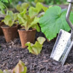 What is the best month to start a garden? Here's what experts say