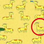 Only sharp eyes can spot 1 out of 20 giraffes without a twin in 10 seconds in this safari landscape