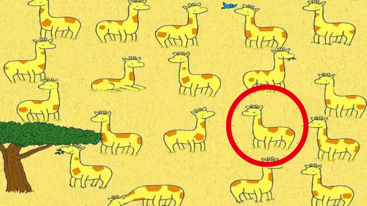 Only sharp eyes can spot 1 out of 20 giraffes without a twin in 10 seconds in this safari landscape