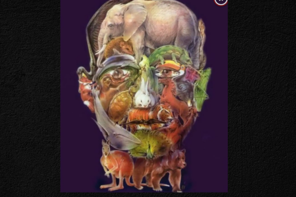 You are among the top 1% if you stop all 25 animals hidden in the man's face within 2 minutes