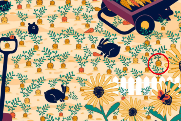 Find the diamond ring hidden among piles of carrots and bunnies; You are a genius if you spot it in a minute!