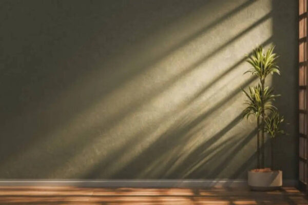 7 plants that can survive without sunlight