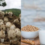 7 Food items naturally rich in vitamin D to add to your diet