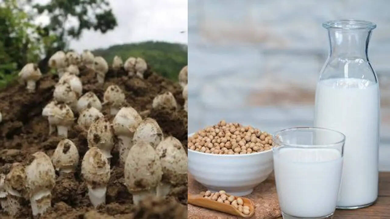 7 Food items naturally rich in vitamin D to add to your diet