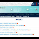 Munger University UG Semester 3 result 2025 declared at mungeruniversity.ac.in: Direct link to download scorecards here