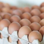 One dead, over 200 ill in UK Salmonella outbreak: Symptoms, cause and all you need to know