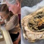 Rare textile fragments have survived for around 1,300 years inside a Viking woman’s Danish grave because metallic salts released by two brooches inhibited microbes that would normally destroy the cloth