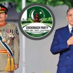 ‘Cockroaches’ and crackdowns: Can Pakistan’s Gen Z storm the barricades?