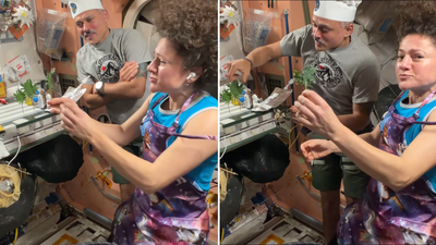 ‘Smells like Earth’: Indian-origin astronaut Anil Menon harvests vegetables in space, cooks with fellow astronaut Jessica Meir