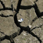 England’s water network buckles under sudden summer drought