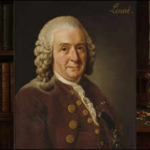 Quote of the day by Carl Linnaeus: “I well know what a splendidly great difference there is [between] a man and a bestia when I...”