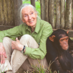 Quote of the day by Jane Goodall: "Every individual matters. Every individual has a role to play. Every individual..."