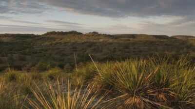 In 1969, a Church’s Fried Chicken co-founder bought 3,000 acres of neglected Texas ranchland; decades of restoration brought long-absent springs and flowing water back