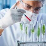 Wolfsbane and larkspur can paralyse in tiny doses; scientists found six enzymes that could help turn their chemistry into future medicines