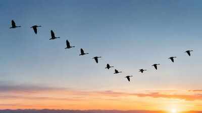 2026 study solves a 150-million-year-old mystery: Scientists discover how the first bird learned to fly