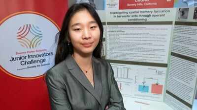 Meet Seungah Chung, the US eighth-grader who used 200 ants and a maze to discover they navigate by landmarks