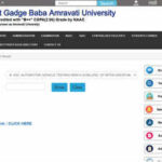 SGBAU Summer results 2026: Check B.E., B.Tech, M.B.A., L.L.B. and M.Sc. results here