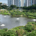 Singapore rebuilt a vanished 1920s lake inside a new housing estate; engineers turned it into a flood-control system and wildlife habitat