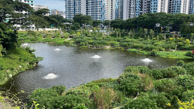 Singapore rebuilt a vanished 1920s lake inside a new housing estate; engineers turned it into a flood-control system and wildlife habitat