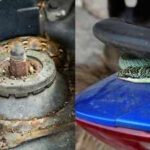 <b>Why snakes enter cars, scooters and even toilets: What attracts them to these places</b>