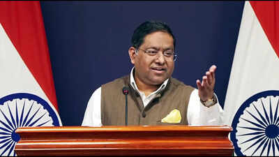 'Biased, no credibility': India slams US religious freedom body over call for RSS sanctions