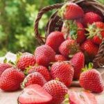 Ariana Grande's love for strawberries: What this fruit actually does for your heart, skin, and immunity