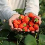 In 2024, a 192,560 sq ft industrial project won approval on 22 acres beside New Jersey’s Monmouth battlefield; two years later the state paid $15 million to preserve the former strawberry farm as part of the park