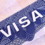 More than 175,000 visas revoked so far in Trump's second term: Majority due to criminal activities, DUI