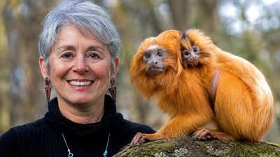 The golden lion tamarin seen on a R$20 banknote nearly vanished from Brazil: Zoologist Devra Kleiman helped bring it back